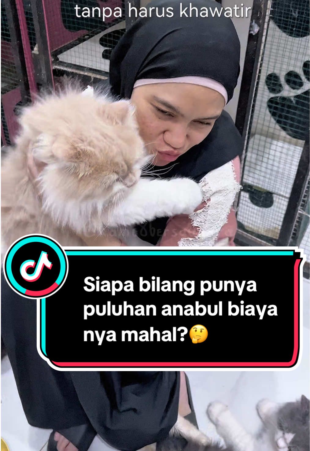 Siapa bilang punya puluhan anabul perawatan nya mahal? Eitasss cek keranjang kuning segera! 