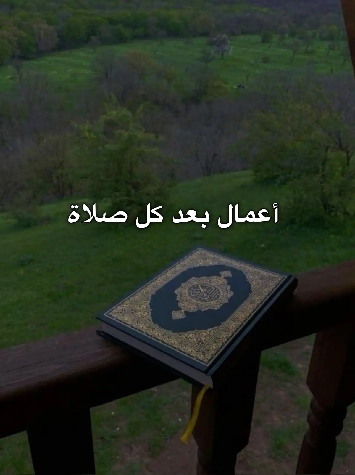 #شعب_الصيني_ماله_حل😂😂 #ستوريات_دينية #اقوال_دينية #اللهم_صلي_على_نبينا_محمد #الحمدلله_دائماً_وابداً💚🌧️🤲 