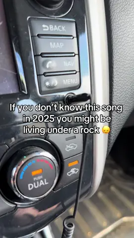 pass the aux bro #tiktokmademebuyit #passtheaux #wirelessaudio 