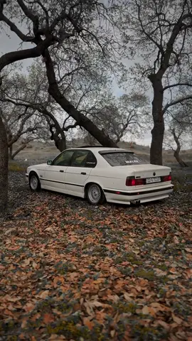 #😎 #bmw #🇩🇪 #BMW_525🇩🇪🇩🇪🇩🇪❤️🌎🌎 