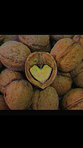 heart emoji legacy Imagine a world where history is written not only with letters and images but also with small symbols glowing on screens and among them the heart became the most recognizable mark of human feeling people place it at the end of messages they send it as a sign of agreement they use it when words fall short over time it left a trace we can call the legacy of the heart emoji because it holds within itself millions of invisible confessions of love farewells promises and quiet moments of warmth people of different languages and different countries understood one another through this single sign and now it is impossible to imagine the digital age without it this little heart has become a chronicle of emotions that will not fade #heart #❤️ 