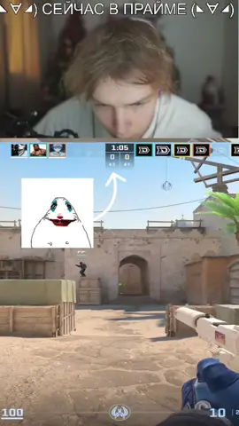 Twitch: StRoGo #strogo #cs2 #хомяк 