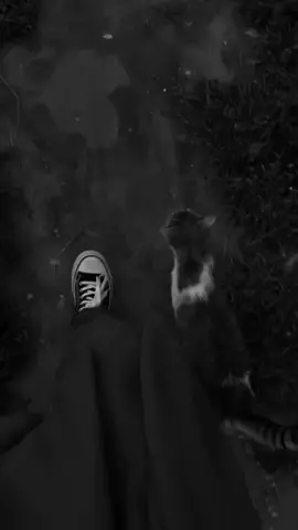 #CapCut #اللهم_صل_وسلم_على_نبينا_محمد #CapCut #tiktok #سبحان_الله_وبحمده_سبحان_الله_العظيم 