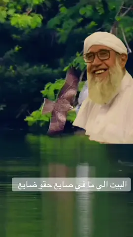 نهفات الشيخ# فتحي# الصافي #البيت الي #مافي صايع#حقو ضايع