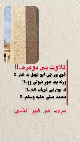 #inshot #viraltiktok #viralvideo 