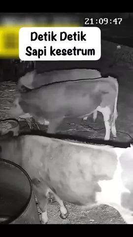 😮 