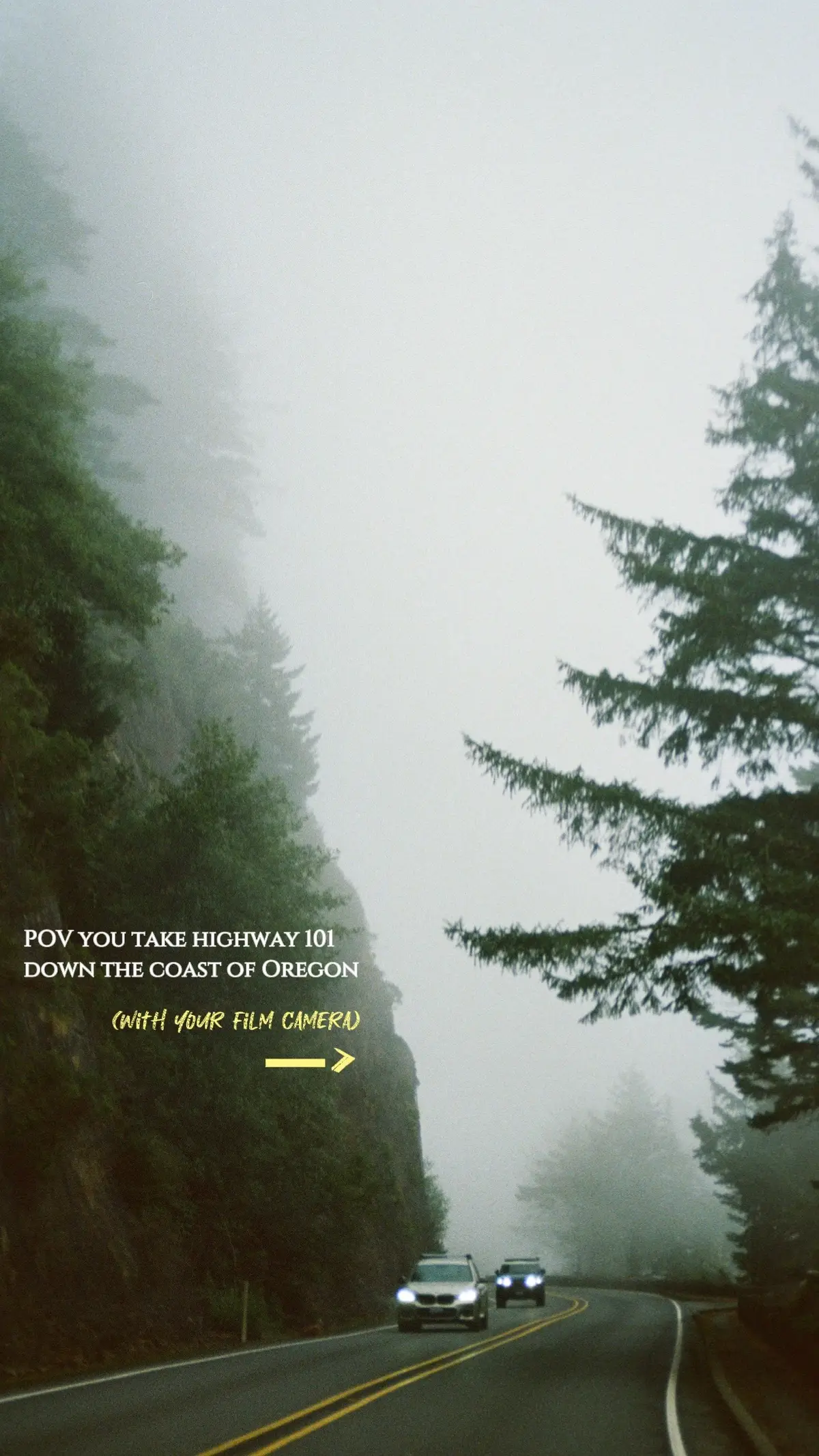 Oregon coast on film 🫶🏼 #filmcamera #pnw #filmphotos #roadtrip 