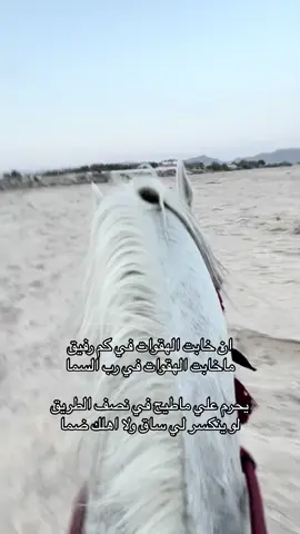 #اكسبلورexplore #مهدي_سميطان 