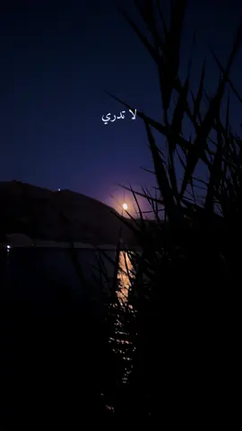 @بدون موسيقى 🎧 🎵 