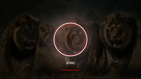 beast Virel music 🎵🎵🎵 Use Headphones for the better experience 🎧🎧🎧🎧#mahrangbaloch #اغنيه_تيك_توك #arabicsong #👑stmusic👑 #fyppp #kurdishsog #arabicremix #مهراب_الوداع_💔 #sadsong #unfreezemyacount #growthmyaccount #iranisong #virel #govirel #pleasgoviral #balochistan #turkishsong #balochistan #balochistan #pleasgoviral #govirel #virel #growthmyaccount #sadsong #👑stmusic👑 #arabicsong #sadsong #👑stmusic👑 #growthmyaccount #virel #govirel #balochistan #unfreezemyacount #مهراب_الوداع_💔 #arabicremix 