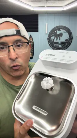 No more filters cat water fountain #cat #catsoftiktok #cats #catlover #cattok 