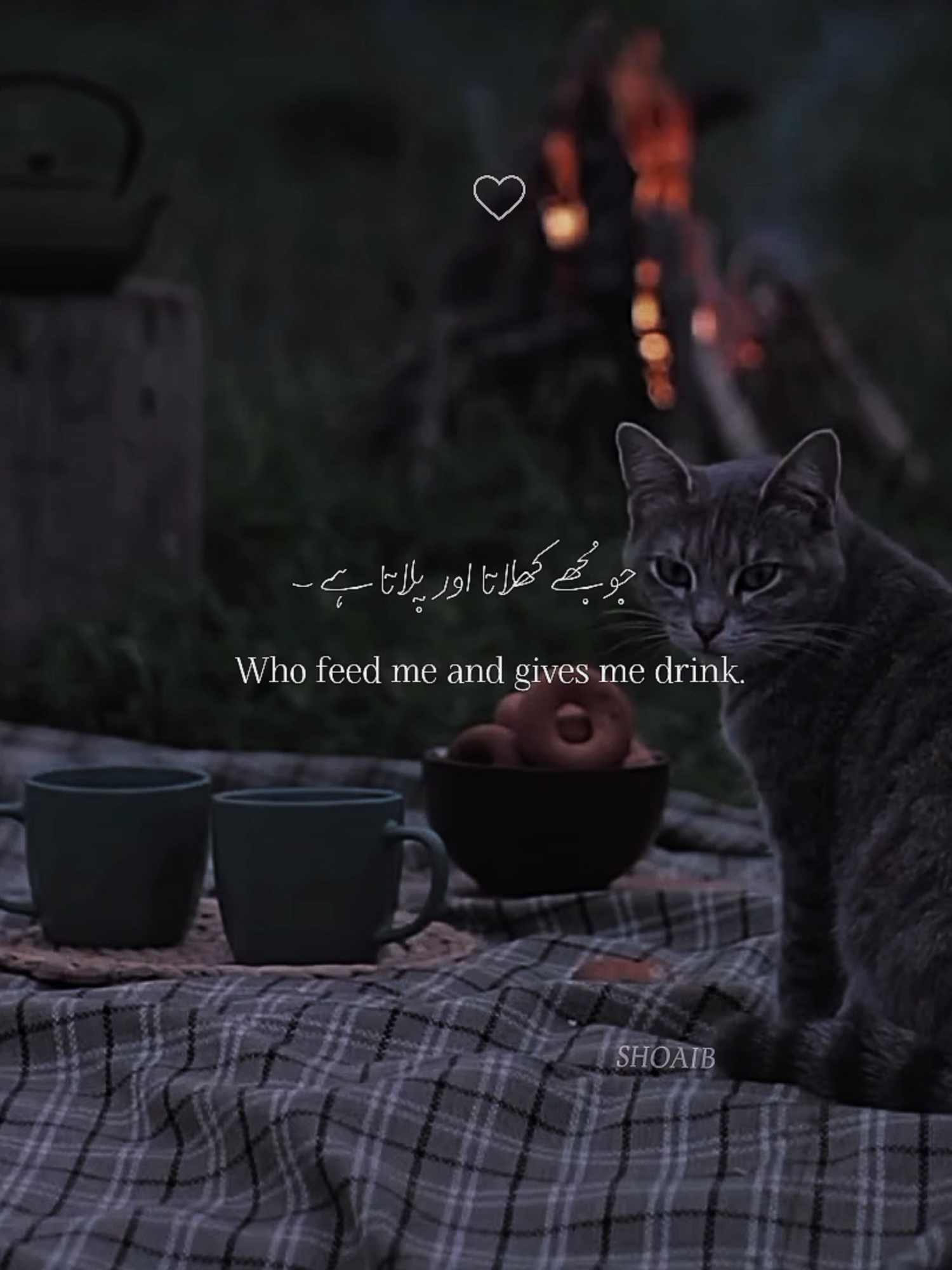 Surah Ash-shu'ara (77-82)  #القرآن_الكريم #alquran #quran #ayah #muslim #ummah #fyp