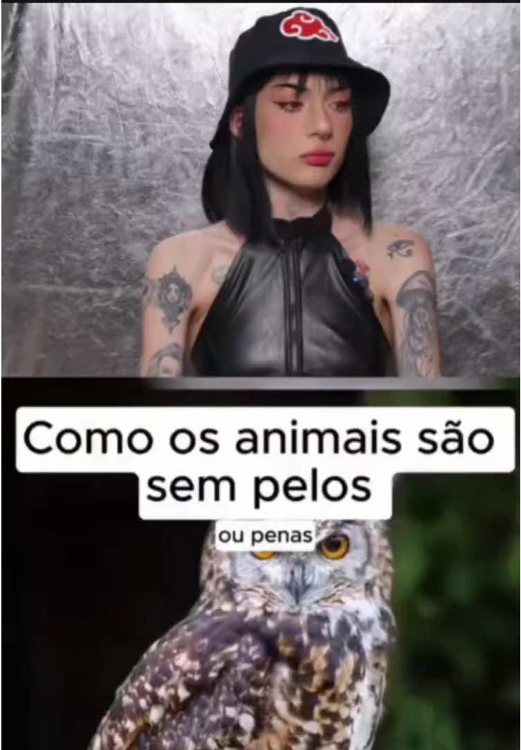 Qual vcs acharam mais estranho?#humor #react #animais #foryour