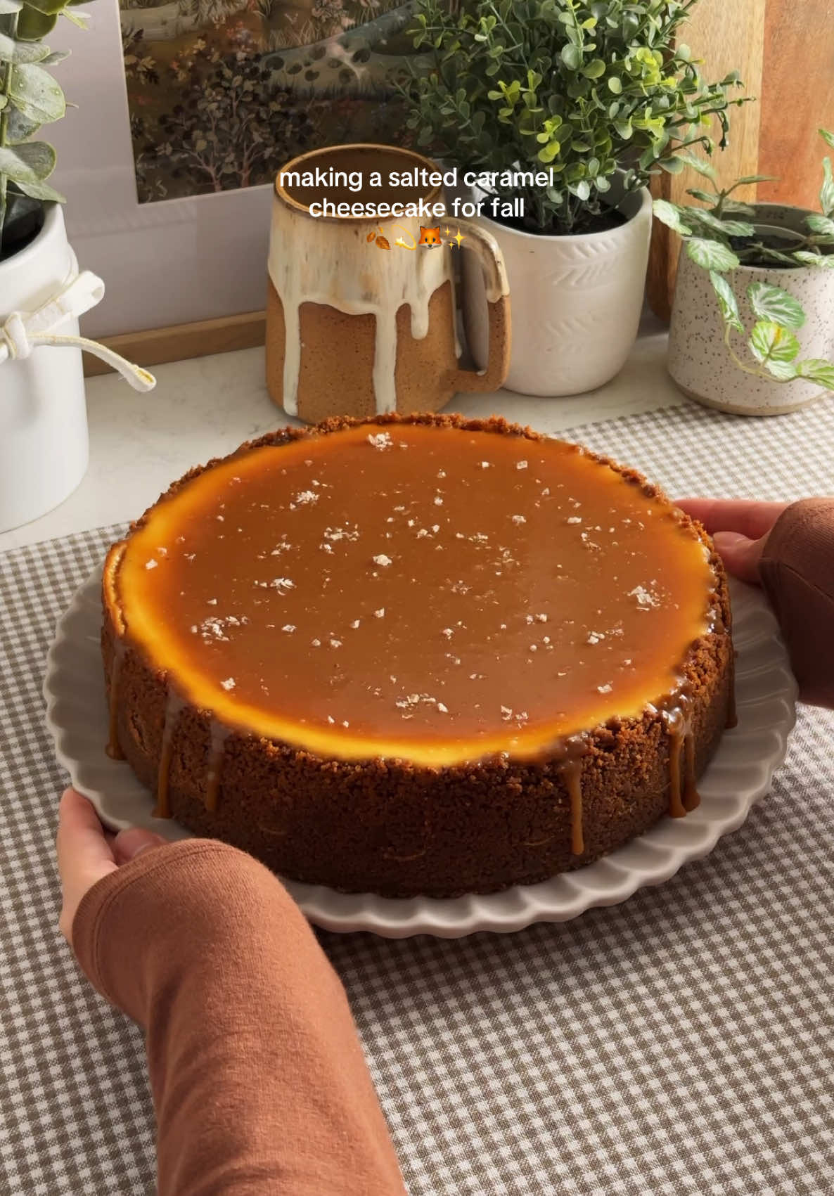 SALTED CARAMEL CHEESECAKE ✨ creamy baked cheesecake with a biscoff cookie crust and homemade silky and shiny salted caramel sauce aka liquid gold on top. it’s a classic cheesecake with a warm and cozy fall addition that makes it shine, literally. recipe linked in my bio or search “salted caramel cheesecake” on teakandthyme.com 🫶 #cheesecake #saltedcaramel #caramelcheesecake #fallbaking #baking 