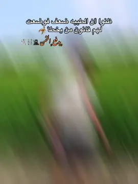 ##بلبل ##