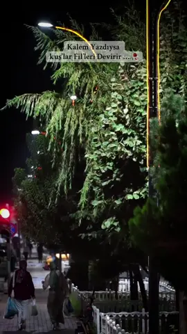 Gecesi Ayrı Güzel memleketimin ❤️#devranpro #güroymakbitlis 