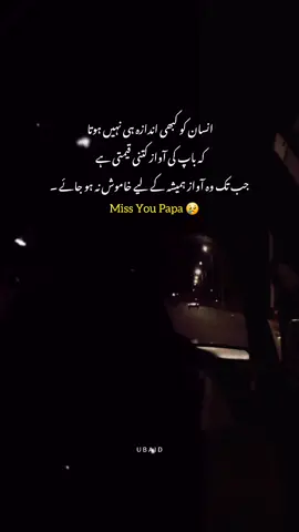Miss You Papa 😢  #foryou #fouryoupage #fly 