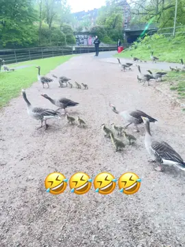 #🤣🤣🤣 #fpyシ #afghanistan🇦🇫 #forupage #پشتون_تاجیک_هزاره_ازبک_زنده_باد🇦🇫 