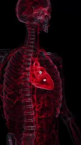 love the game  ⚽️♥️❤️‍🩹🌍🏟🙏🏼🔋🫂🧠🫀 #football #Soccer #foryoupage #fyp #bro 