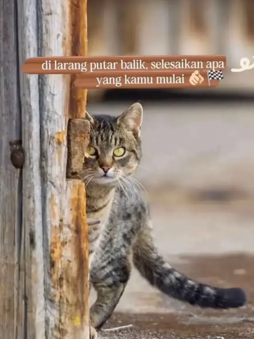 #masukberanda#fypage#for 