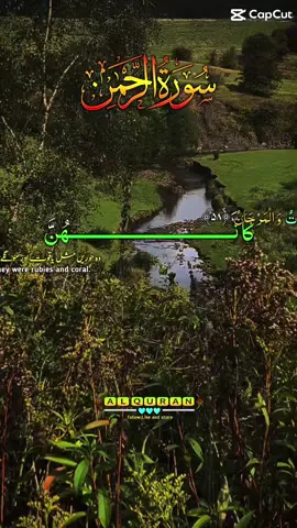 #creatorsearchinsights #sorh rahman#