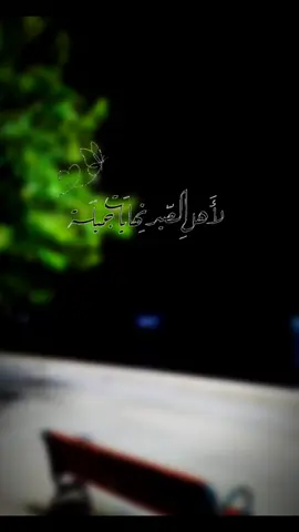 صابرون على أمل أن تمر هذه الأيام بسلام 😴🖤 #اكسبلور #ستوريات #حالات #rur_story #حزن 