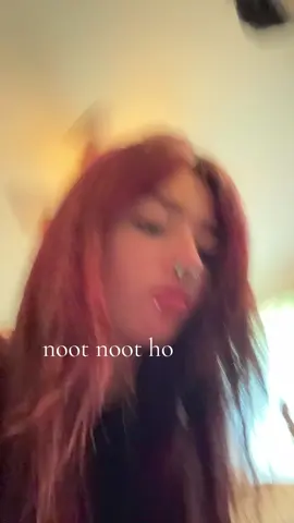 #pingu
