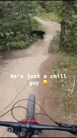 #wildlife 