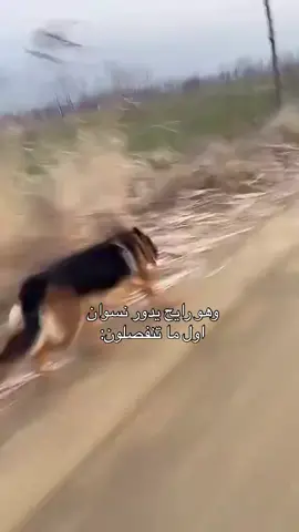 #اكسبلور #العراق #بغداد #الاكس #fyp 