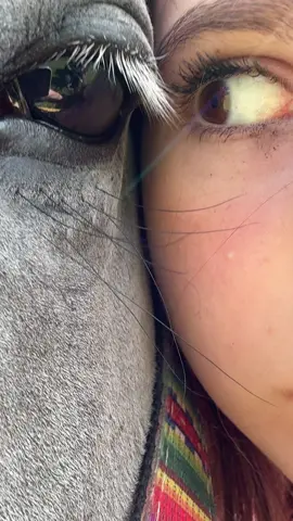 don’t mins my clumpy mascara #fyp #eyee #tiktok #horse #duo I LOVE THIS OMG