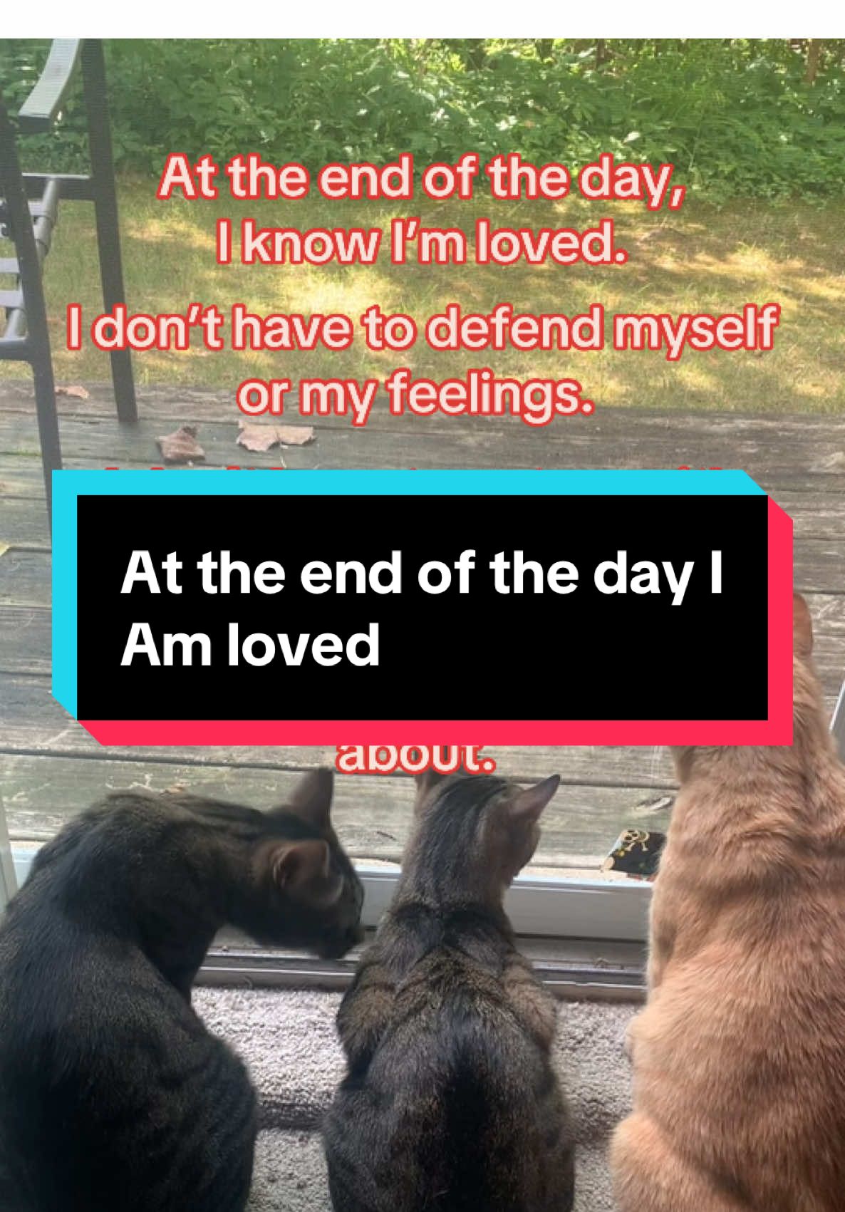 I might delete this idk. But I’m tired of pretending to be someone I’m not for the comfort of others.  I have such amazing people in my life who actually matter. Who take time out of their day to message me and talk to me. Who try to understand my disabilities.  I love my mom. For without her I wouldn’t be here. I wouldn’t have such a beautiful and strong caring woman to look up to. She does so much for everyone expecting nothing in return and I admire how much she loves. I only hope she continues to live her best life and be happy and that I can be like her.  I love my friends who have supported me and my art. Who have seen me at my worst and still continue to believe in me and love me. Who would fight for me in an instant.  I love my partner who inspired me to get therapy when he started going. Who helped me when I was sick from trying medications for my disabilities. Who helps me brush my hair and eat when the depression hits too hard.  I love all of my siblings Nolan, Emily and Jeffry two of which I didn’t talk to until just a few years ago but since day one treated me like I’ve always been there. I love Nolan who I got to spend so much of my life with and I’m so grateful to watch grow into a carrying young dude.  I love my dad and step mom who have only shown care and support and want to make sure my needs are also met. They care so much about my moms side and hope only for the best.  I love my friends who are LGBTQ+, disabled, immigrants, children of immigrants, or part of any minority group. So I can’t act like it’s okay when I hear racist things. I can’t act like it’s okay to be told my experiences are invalid because “I turned out fine”.  I don’t need hate.  I don’t need racism, bigotry, transphobia, hate or anything of that kind.  I don’t need to mourn a man that brought on constant harm to others and people that I know, love, and care for.  I don’t need to defend how I feel or why I and my friends should be able to exist peacefully.  I don’t need a woman in my life that uses my grandpa as a blade to cut me because I won’t do what she says. All my life that woman bullied me for being “fat” under the guise of caring about my health but never once did she ACTUALLY care about my mental health.  I won’t let people control me anymore.  I don’t blindly follow words.  She can say anything she wants about me and be as nasty as she wants but I live by actual facts and I know what I’ve been through and what I’ve seen and heard.  I live by seeing how people are being harmed.  I read ballots and bills.  I see the active destruction how can I stay silent? If you can’t love me without wanting to change me, core parts about me, than you don’t actually love me.  I am proud to be pansexual. I am proud to be nonbinary.  My AUDDH/Depression/Anxiety don’t make me less of a person.  I am proud to be my own person.  I am proud to stand up for myself for once in my life and know that I am loved and respected.  My James would be happy to know I’m living my life the best I can right now and that can never be taken away. That man always supported and loved me no matter what. He and my mom are true unconditional loving people.  Sometimes going no contact is best when people only tear others down.  I’m glad to still have my mom and Nolan and continue to build relationships with people who love and care about me and not just when it’s convenient.  I’m fucking tired as hell man and my depression came back in full swing. But I will keep living even if out of spite.  I will be happy knowing I am not pretending to be anything.  I will be happy knowing I don’t need someone else’s approval or validation.  #vent 