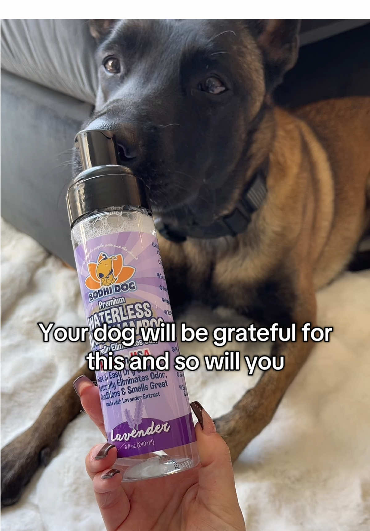 Waterless Foam Shampoo for Dogs #DogShampoo #WaterlessBath #PetCare #FreshDog #NoRinseShampoo