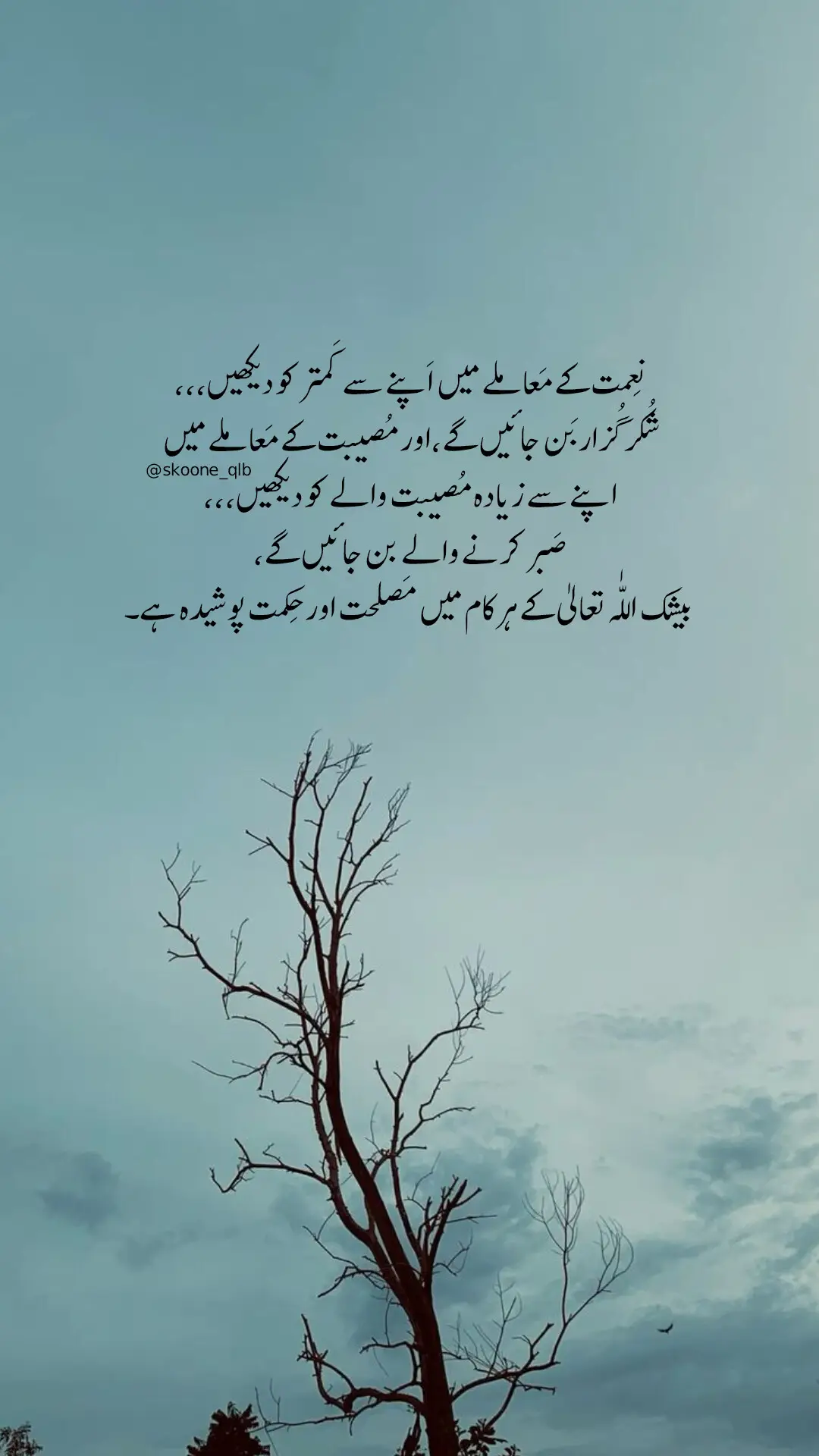 ##tawakkul #dua #sabar #taqwa #fypp 