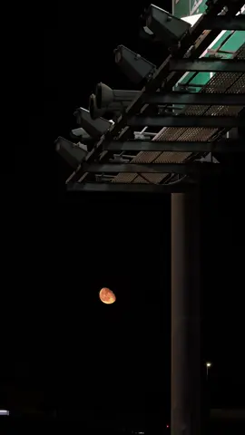 #القصيم#explore 