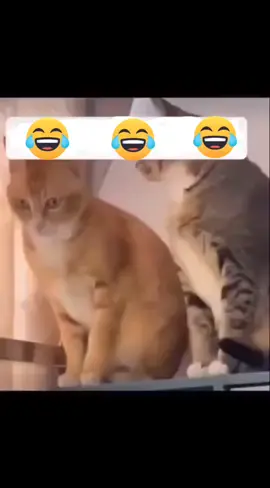 Se sorprendió 🤣🤣
