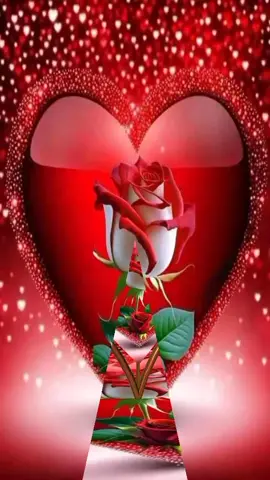 #LIVEIncentiveProgram #MyLIVEJourney #PaidPartnership 