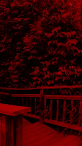 بلايا ذنوب #شور_حتى_الظهور #قصيده #قصائد_حسينية #تصميم_فيديوهات🎶🎤🎬 #عل._ي