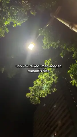 #galaubrutal#xybca#fyp#fyppppppppppppppppppppppp 