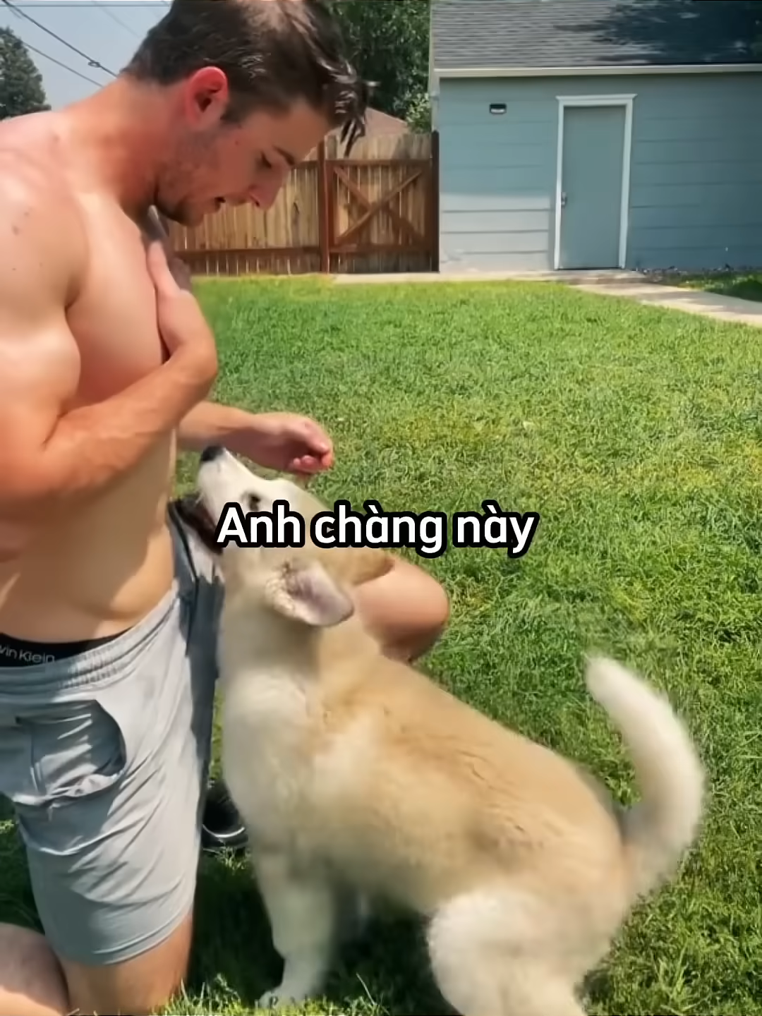 Anh chàng phạm sai lầm nghiêm trọng khi dạy chú chó cách ôm 😂