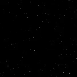 ثــم تــســأل لــم أمــتــلأ الــعــالــم بــالــقــذارة #فلسفة_الشوارع🔥 #الشعب_الصيني_ماله_حل😂😂 #اقوال_وحكم_توباك #حكيم_رايدر #رايدر 