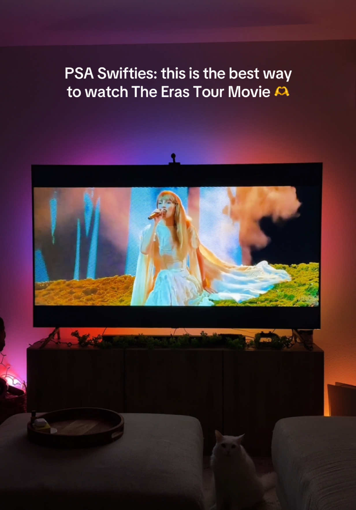 Can you spot my cat also enjoying the concert? 😂 #erastourmovie #erastour #taylorswifttok #taylorswifterastour #goveelights 
