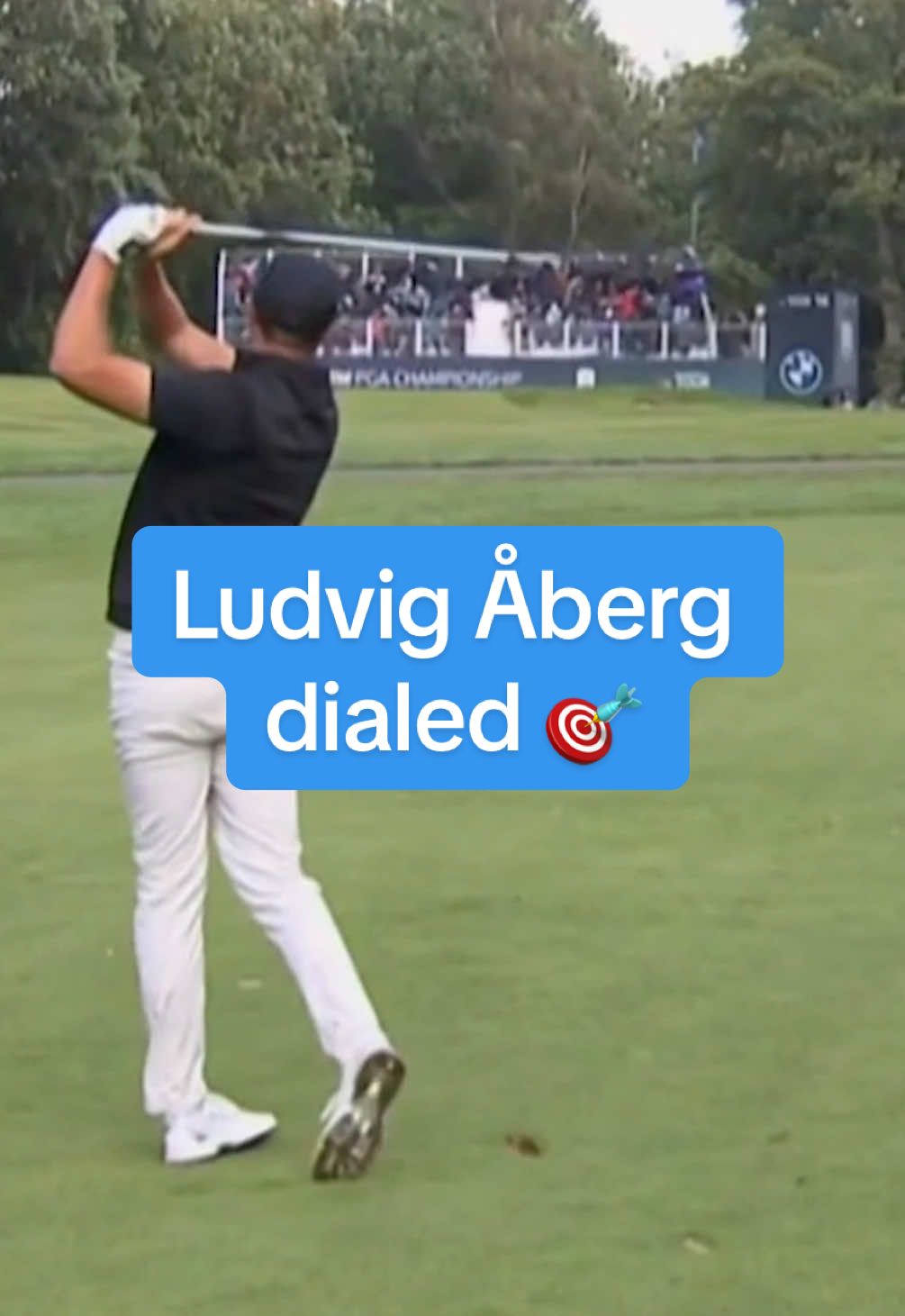 Ludvig Åberg birdied his final three holes for an opening 64 and the BMW PGA Championship co-lead. 📈 #golf #aberg #golfswing #fast #ludvigaberg 