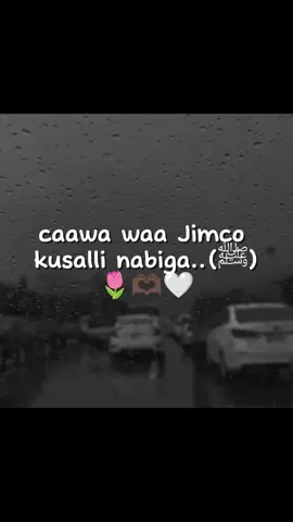 ﷺ..🫶🏿🤍🌷#lovv saara🫶🏼💕#viewsproblem #fybbbbbbbbbbbbbb #foryoupage #scw_kusaliya_nabiga_scw 