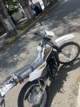 El detective loco 😍#dt #moto 