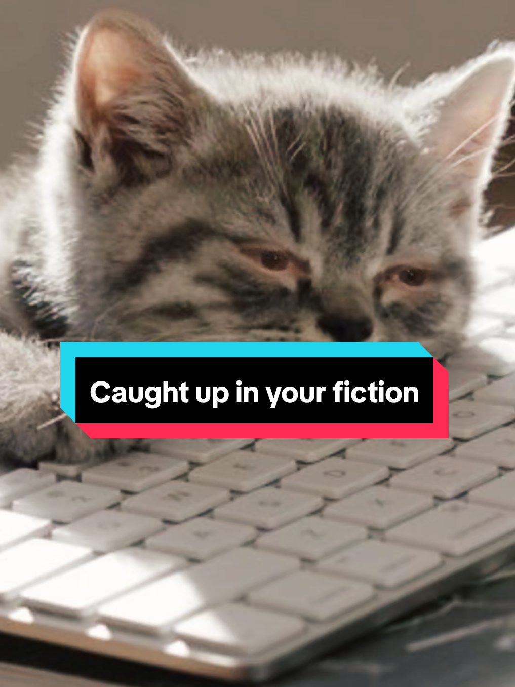 Too much writing. #indieauthorsofbooktok #authorsoftiktok #writertok #authortok #IndieAuthors 