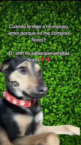 #Meme #MemeCut #CapCut 