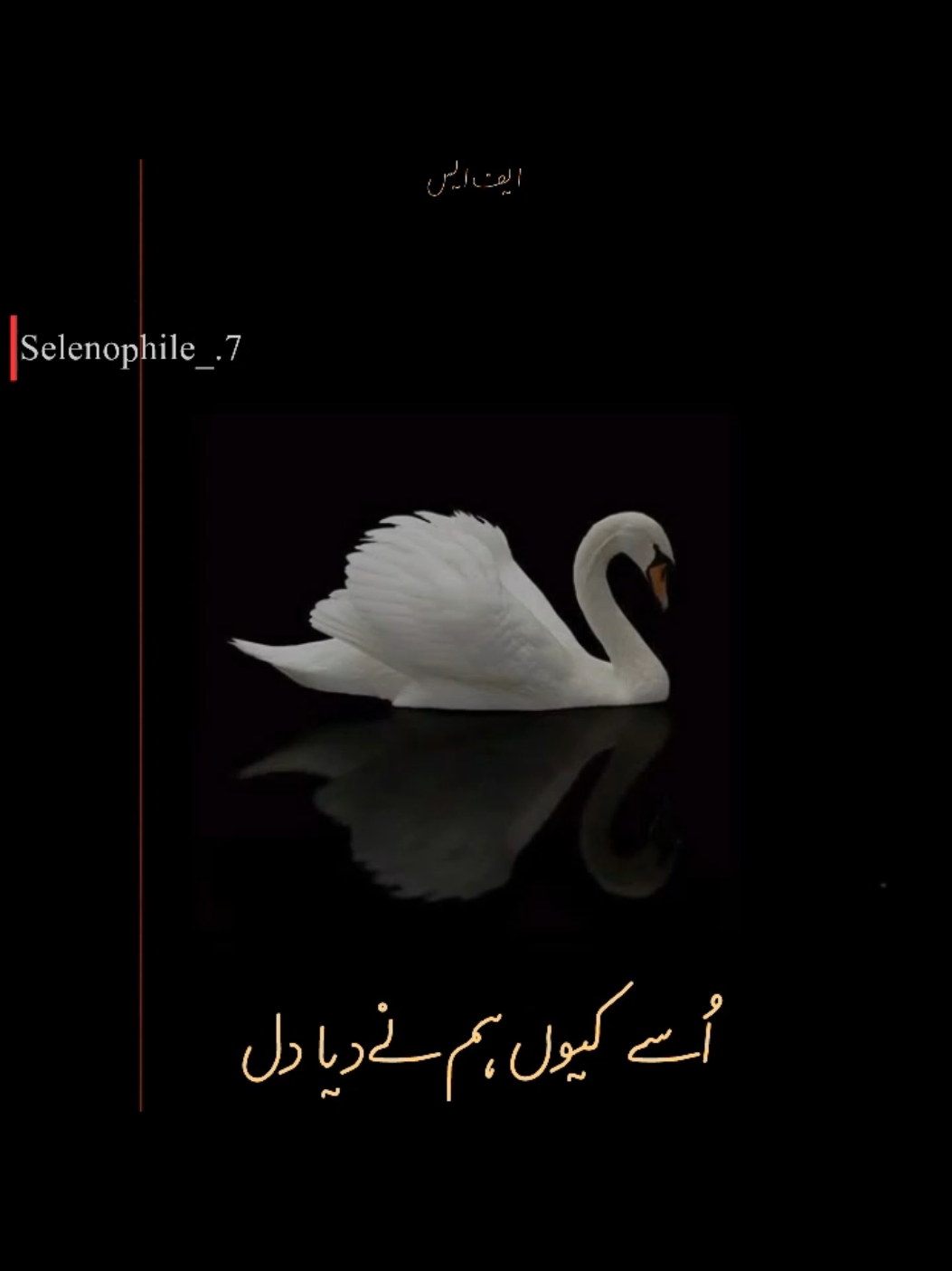 🥺❤️‍🩹..اُسے کیوں ہم نے دیا دل #poetry #ziamohayuddin #growpage #selenophile_ #urduadab 