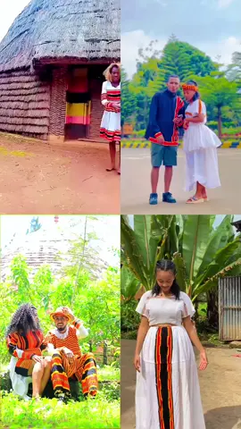 #wolayita🇧🇪🇧🇪🇧🇪_tik_tok #ዮዮጊፋታ🇧🇪 