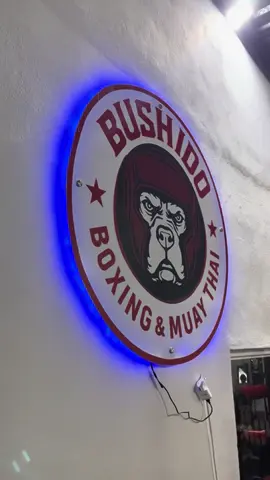 Box para niños 👧🏻👦🏻🍭 Clases para todas las edades en todos nuestros horarios ‼️‼️ ✅ Reduce el estrés y la ansiedad  ✅ Mejora la concentración y disciplina  ✅ Aumenta la confianza y autoestima  ✅ Quema calorías y ayuda a perder peso  ✅ Aprende defensa personal  Más información whatsapp 8119085553 y 8131639367.  📍Av. Zempoala # 7412  tercer piso, Lomas modelo   #kids #boxkids #boxeo #box #fullbody        