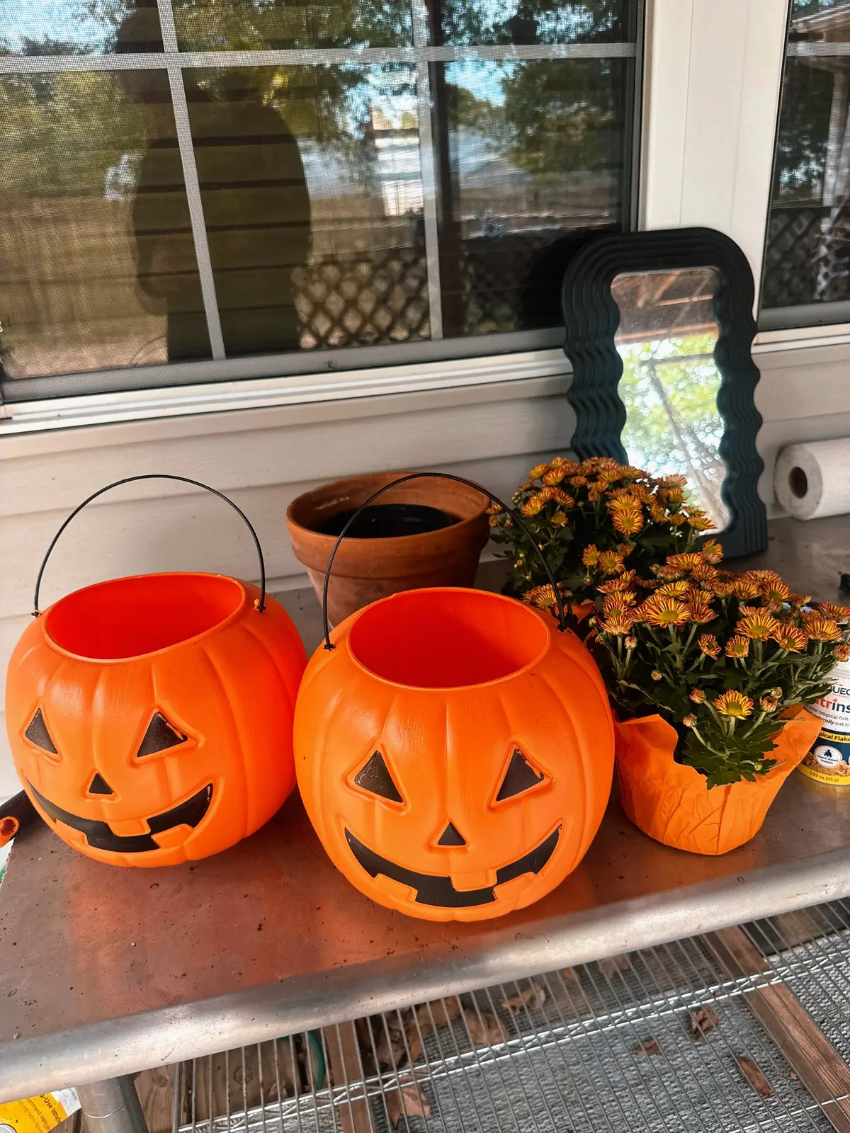 When the diy project makes it out of the saved tiktoks 🎃🧡 Trader joes mum $4.99 Walmart punpkin bucket $1.97